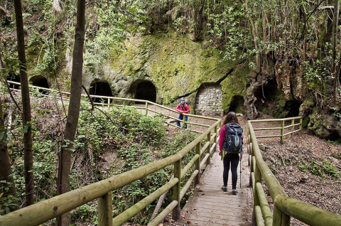 Bosque de la Madre del Agua