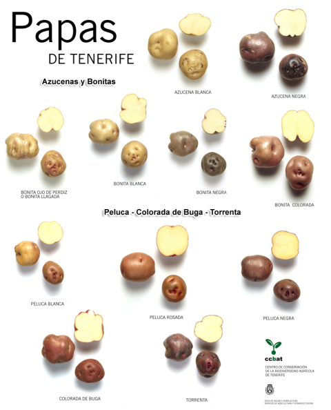 II Foro Gastronómico Internacional de la Papa 