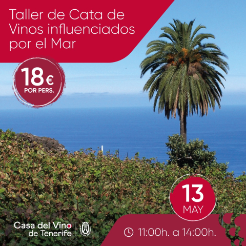 Taller de Cata de Vinos