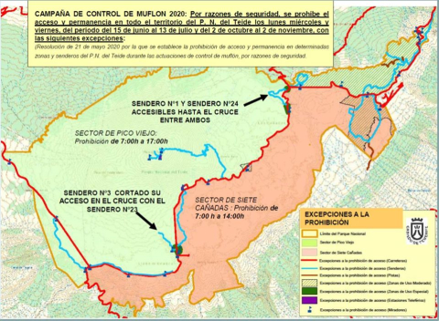 Parque Nacional del Teide: control de muflón