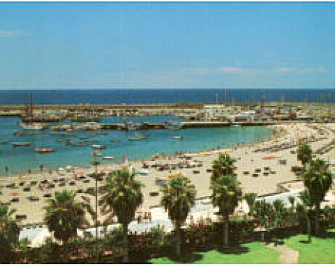 Los Cristianos, Playa de las Américas y Costa  Adeje