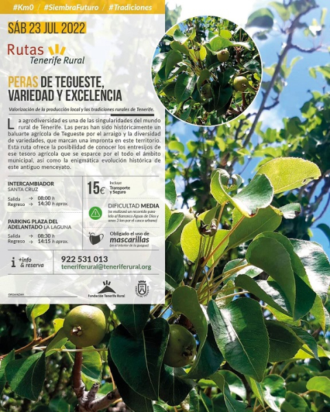 Rutas Tenerife Rural