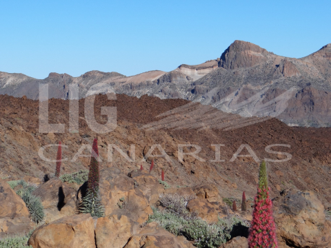 III Jornada de Patrimonio Geológico de Canarias