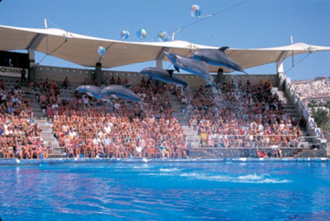 Das Delphinarium Aqualand Costa  Adeje