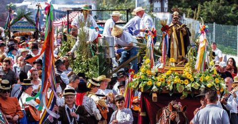 Fiestas de San Antonio Abad - Romería