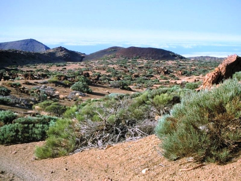 6. Sendero de Montaña de los Tomillos