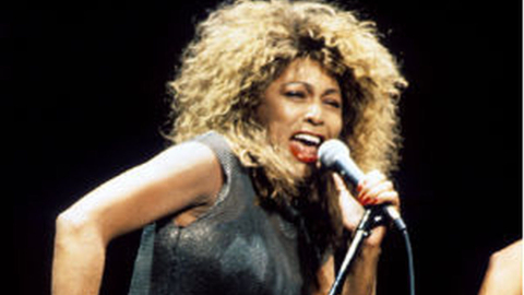 Tina Turner Show