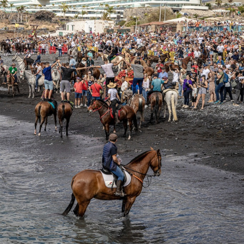 FIESTA DE SAN SEBASTIÁN 2025