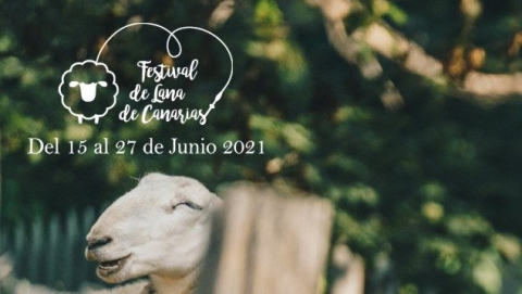 VIII Festival de Lana de Canarias