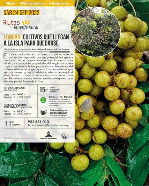 Ruta del Longán