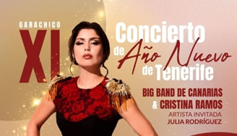 XI Concierto de Año Nuevo