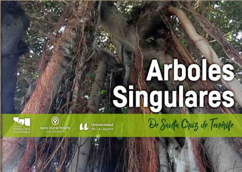 Árboles singulares de Santa Cruz