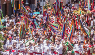  Romería de San Isidro