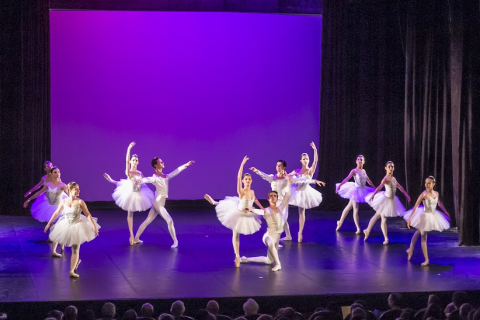 Gran Gala de Ballet - Ballets de Tenerife