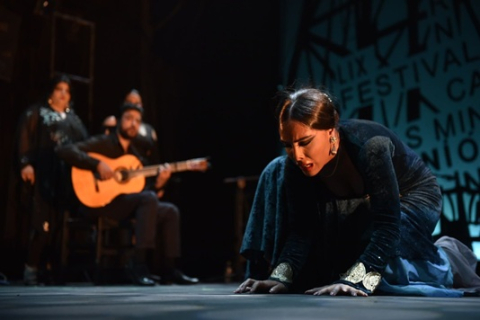 Festival Int. Flamenco Romí