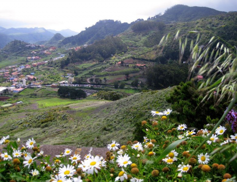 La Victoria de Acentejo