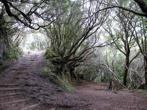 Senderos Cruz del Carmen