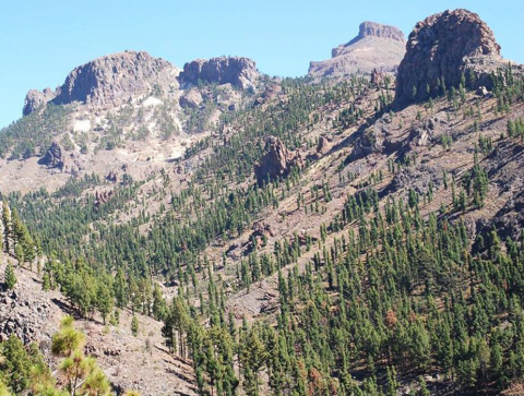 Barranco de Erques, Guía de Isora