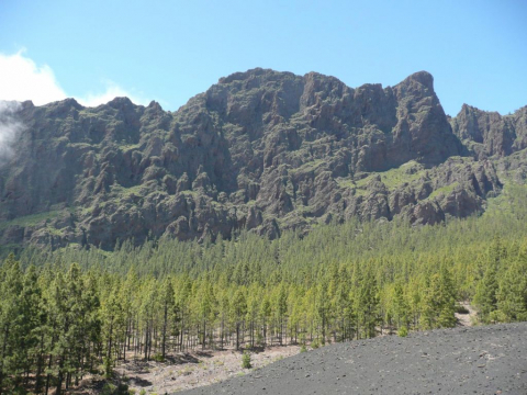 Monte Verde Volcán de Arafo