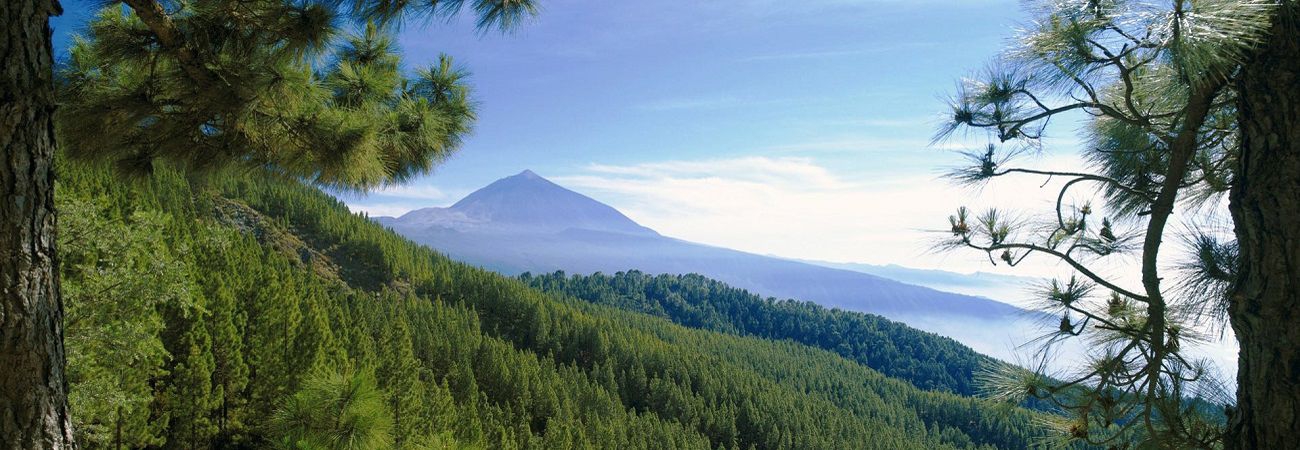 Cordillera Dorsal y El Teide Header image