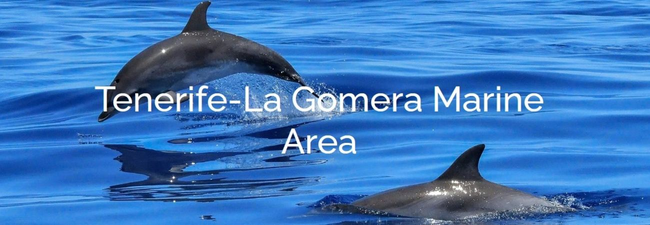 Lugar Mundial Patrimonio de Ballenas Header image