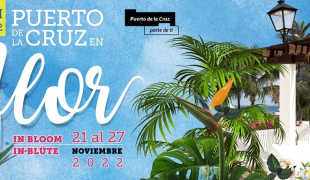 VIII Festival Puerto de la Cruz en Flor