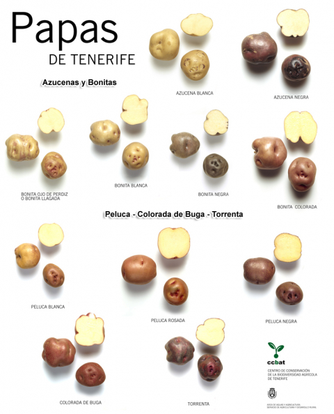 II Foro Gastronómico Internacional de la Papa