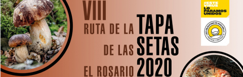 VIII RUTA DE LA TAPA DE SETAS DE EL ROSARIO