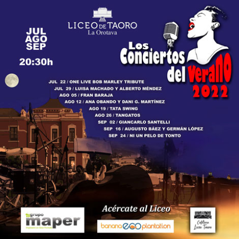 Los conciertos del verano