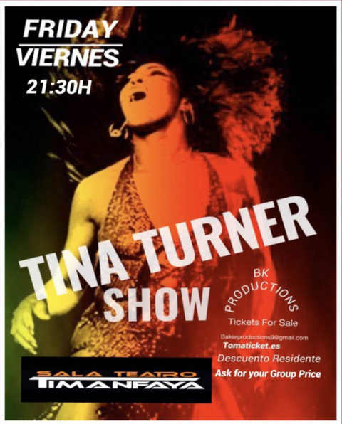 Tina Turner Show