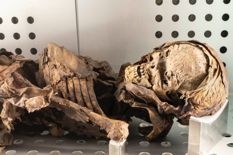 Congreso de Antropología Física