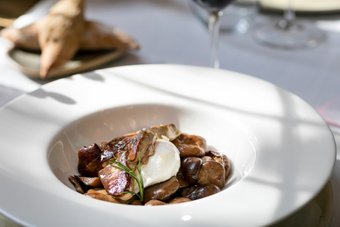 VII Ruta de la Tapa de Setas de El Rosario