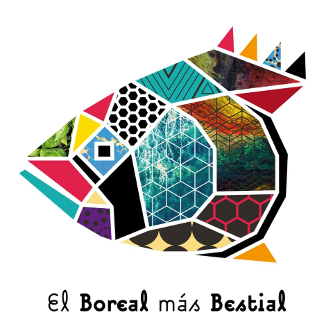 Festival Boreal